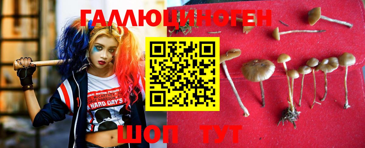 Воркута  Галлюциногенные грибы ЛСД  Вход с VPN 